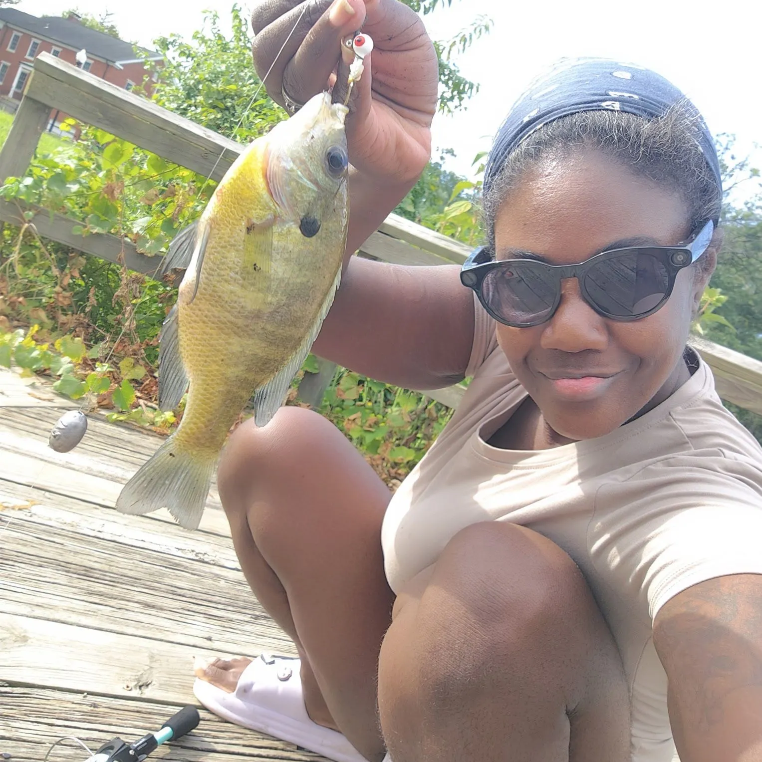Bluegill caught on Fishbrain