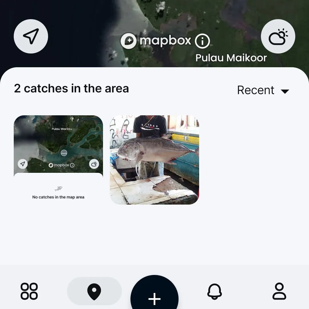 recently logged catches