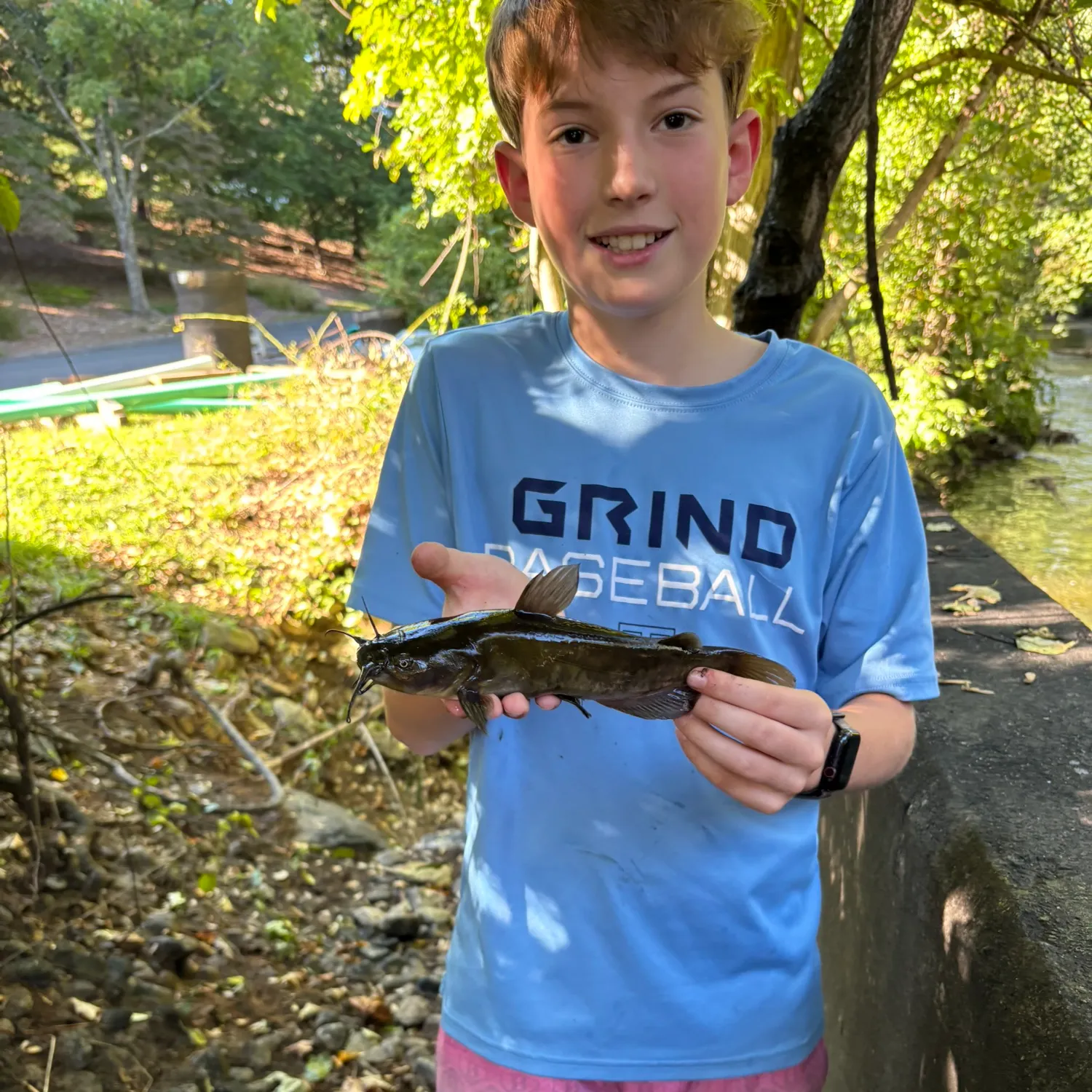 Channel catfish caught on Fishbrain