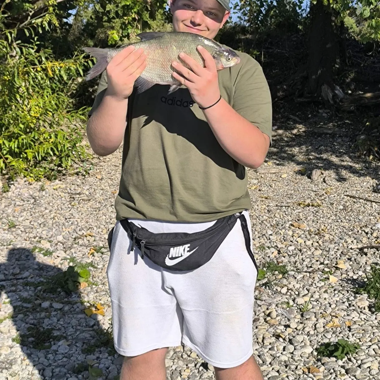 Common bream caught on Fishbrain
