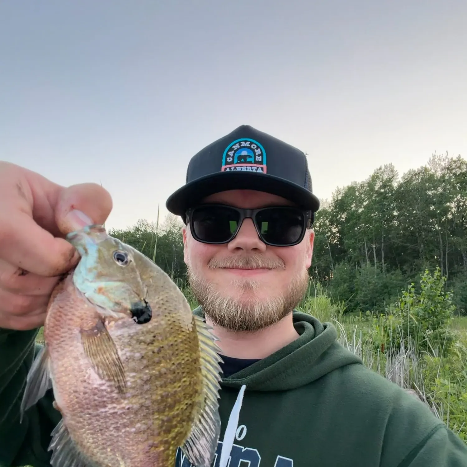 Bluegill caught on Fishbrain