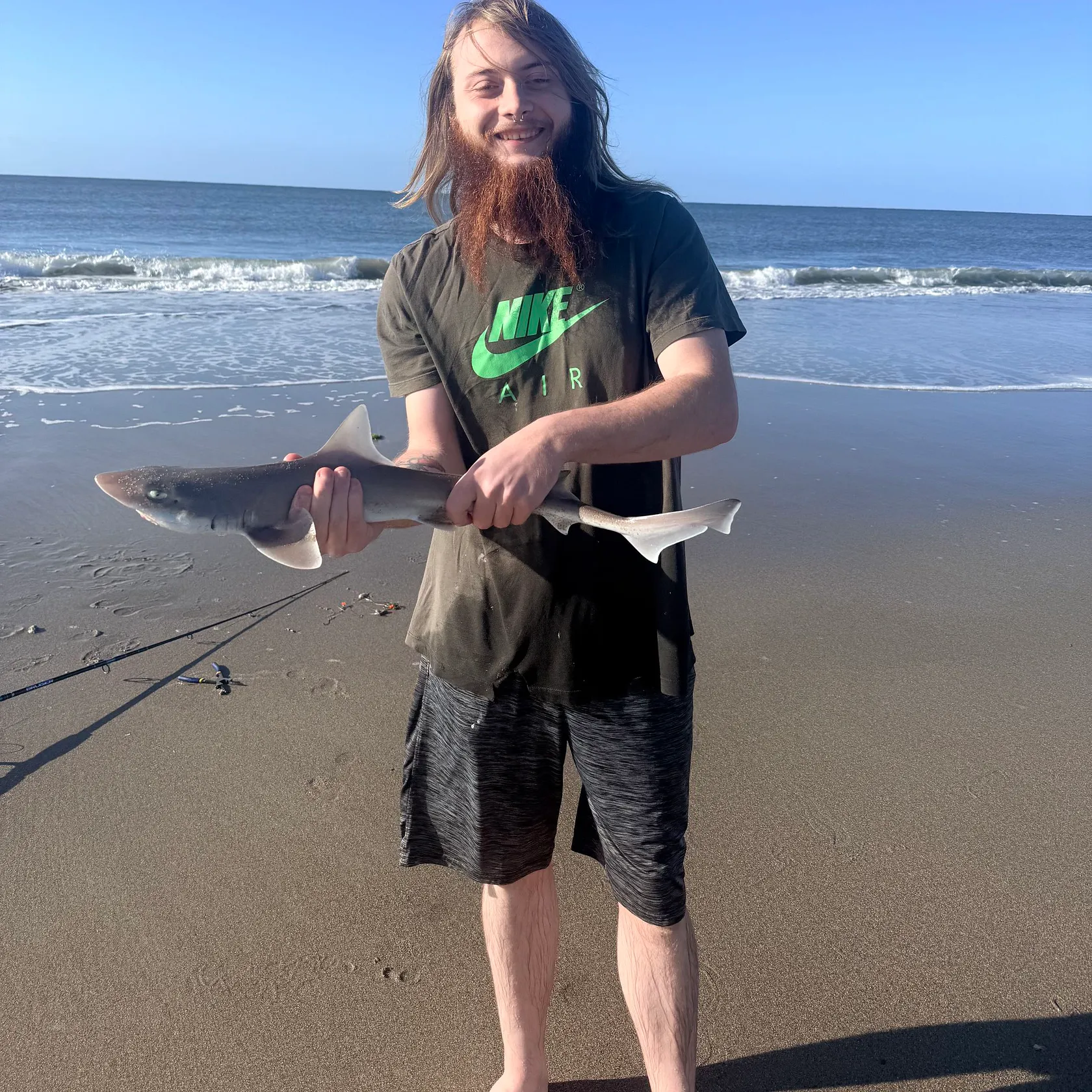 The most recent Dusky smooth-hound catches on Fishbrain
