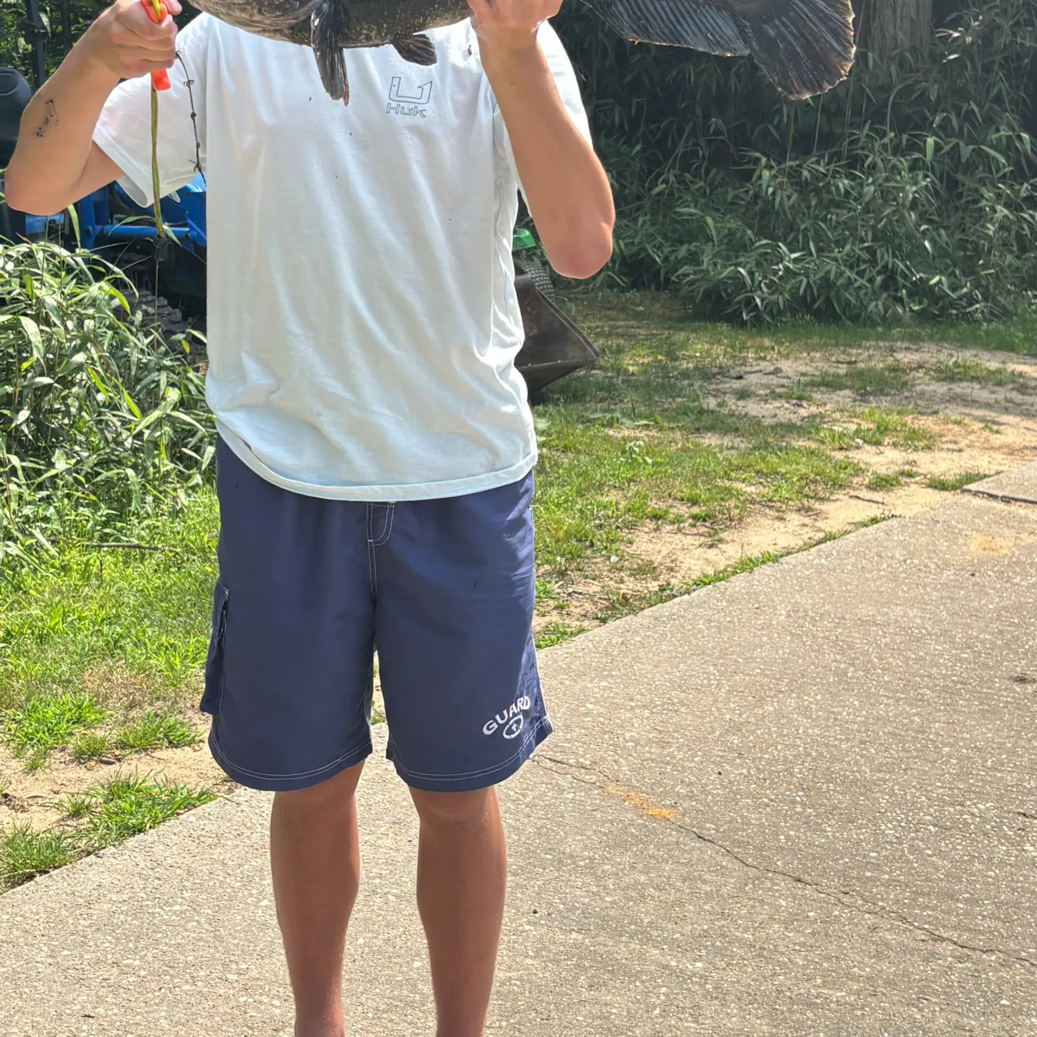 The most recent Northern snakehead catches on Fishbrain