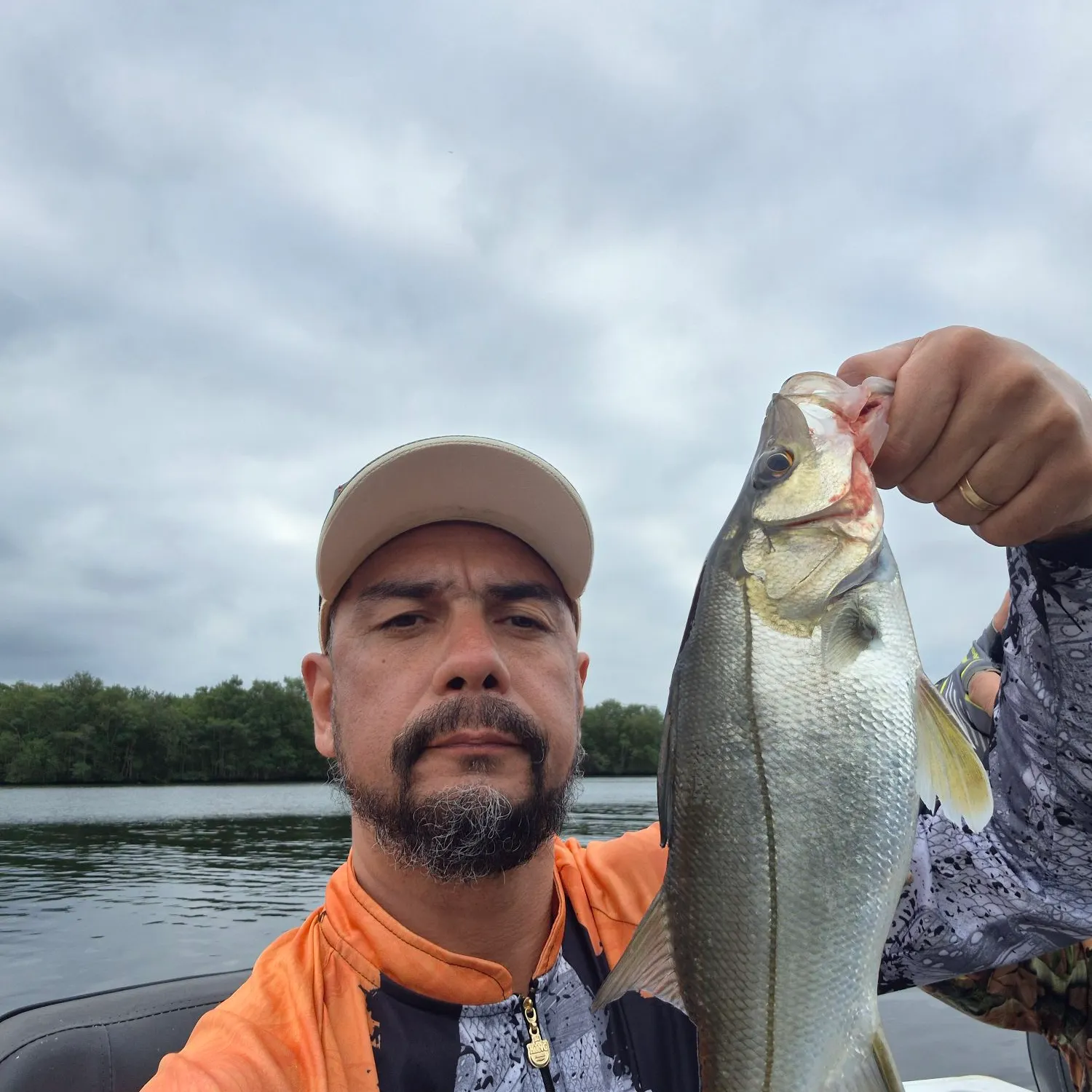 The most recent Fat snook catches on Fishbrain