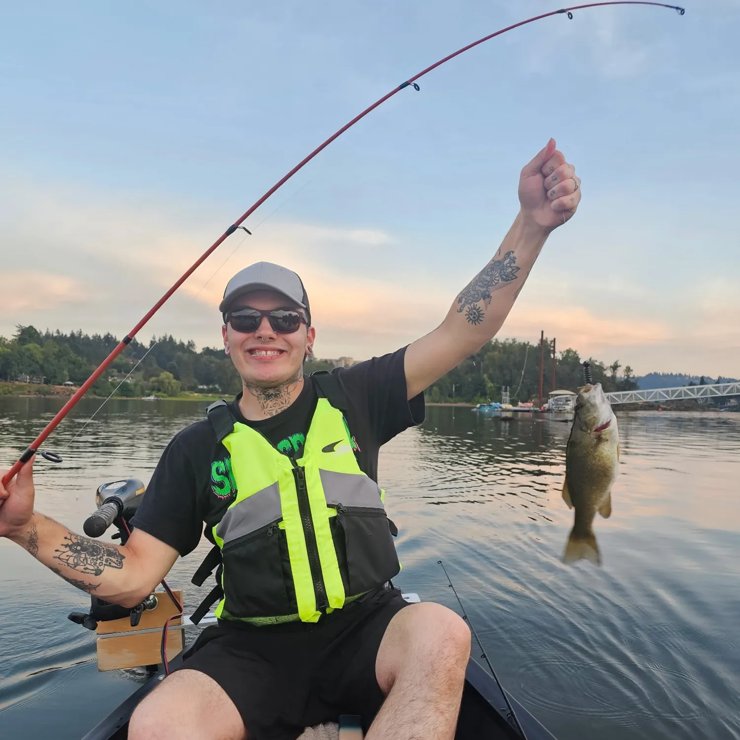 The most recent Ouachita smallmouth bass catches on Fishbrain