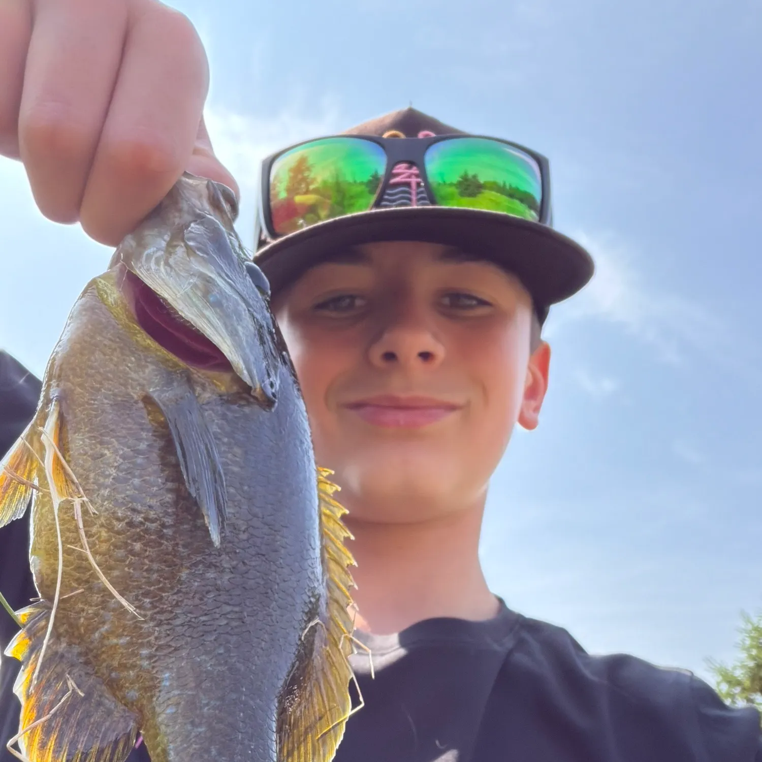 The most recent Redspotted sunfish catches on Fishbrain