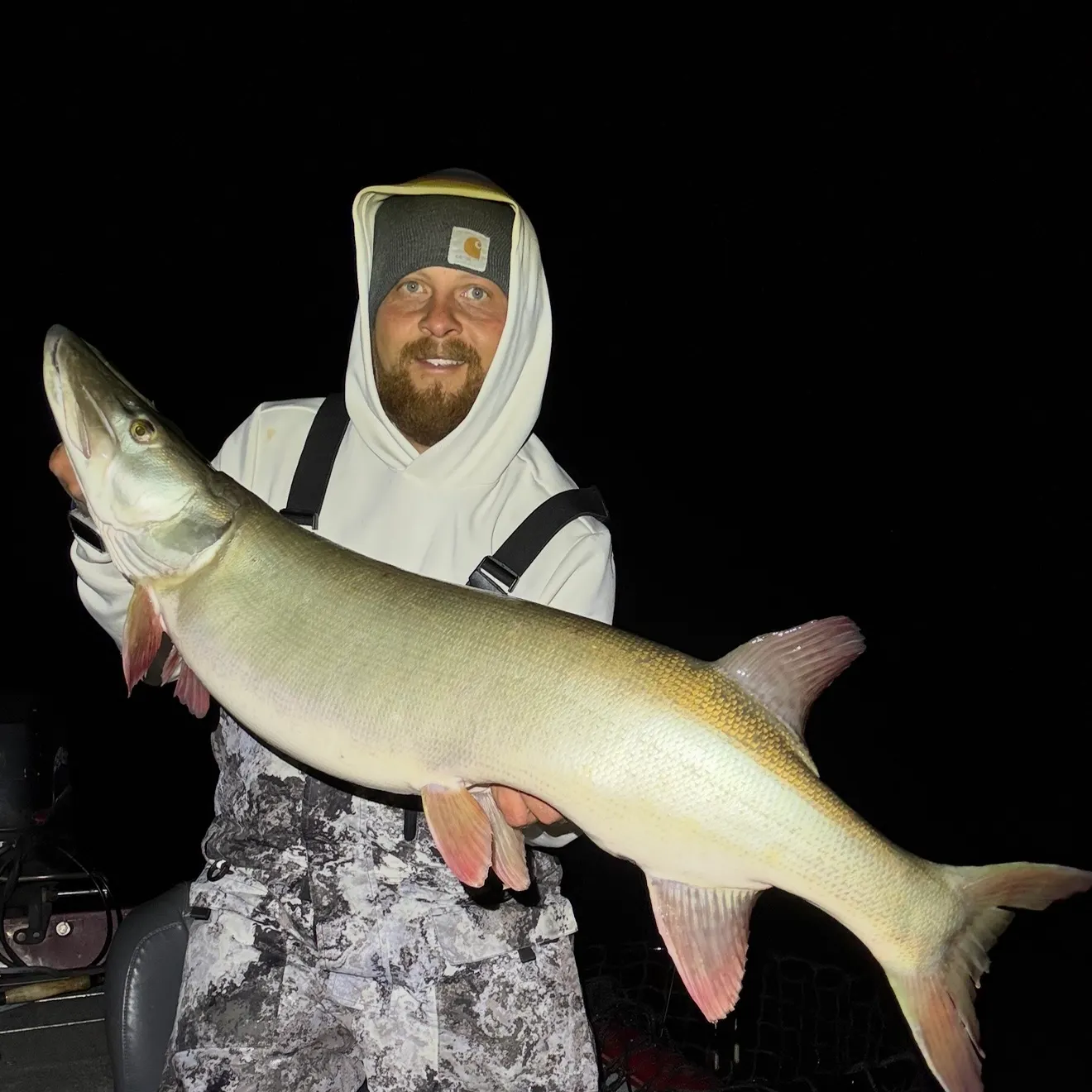 The most recent Muskellunge catches on Fishbrain