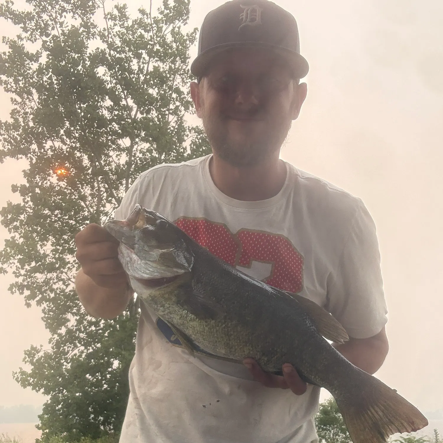 Smallmouth bass caught on Fishbrain