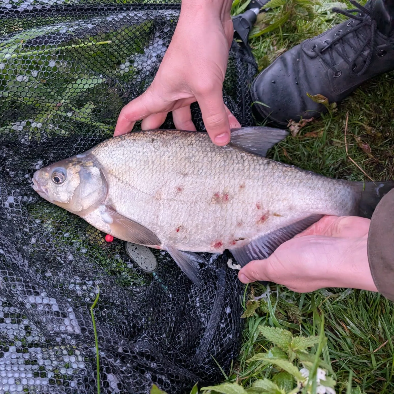 catch