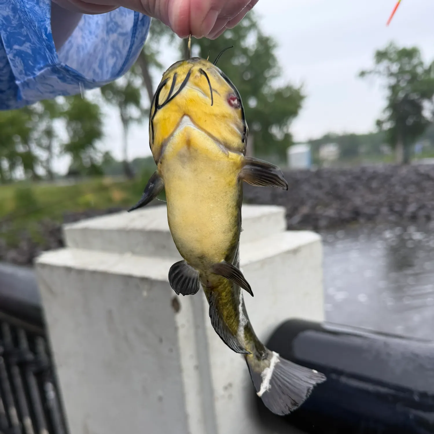 catch