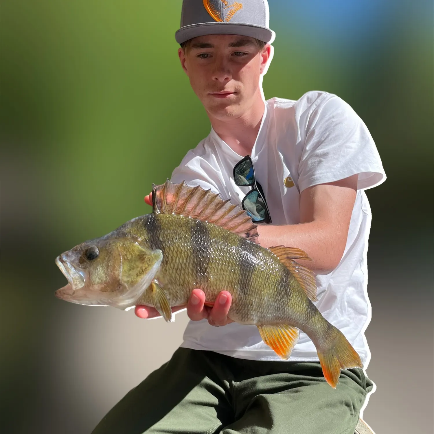 angler catch
