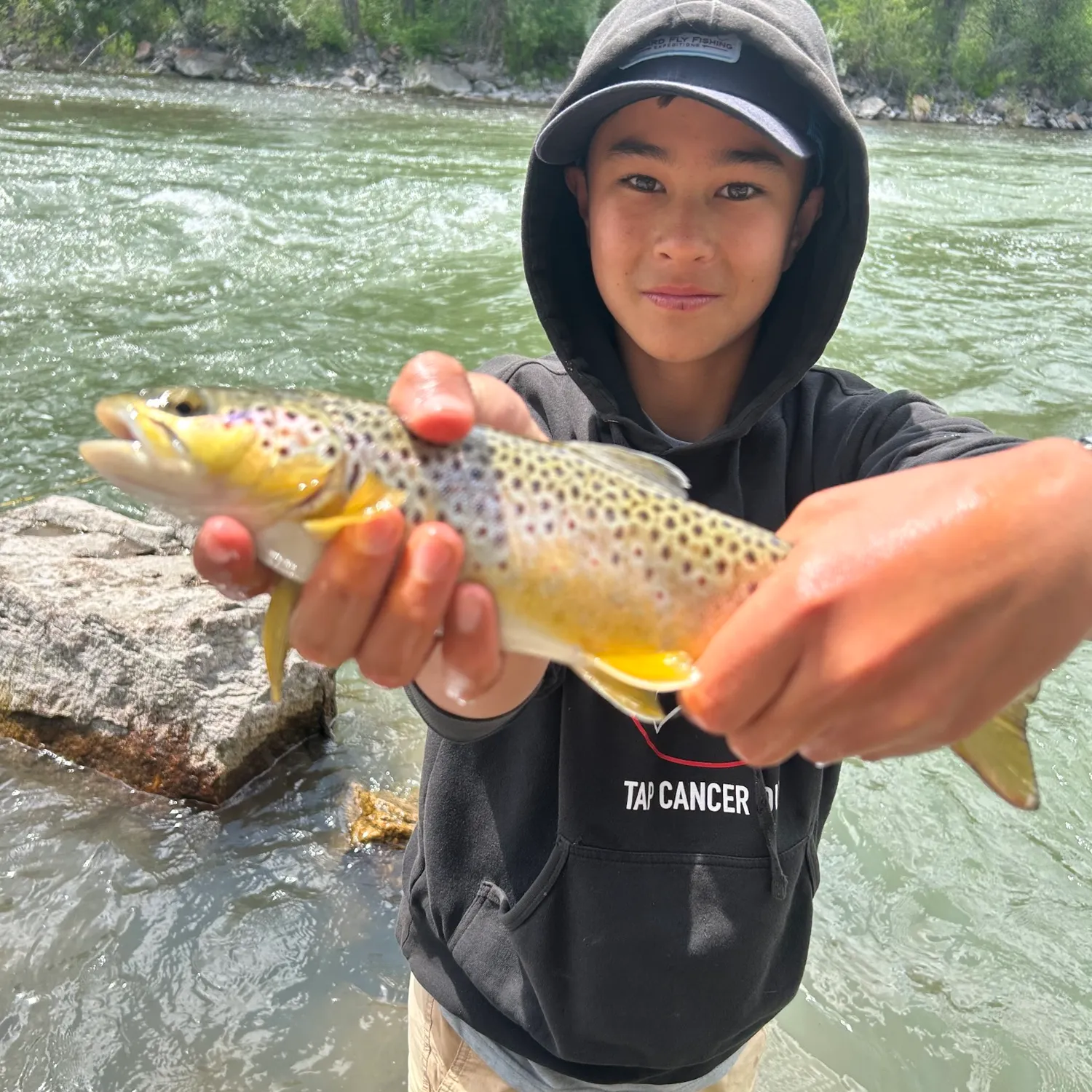 The most recent Brown trout catches on Fishbrain