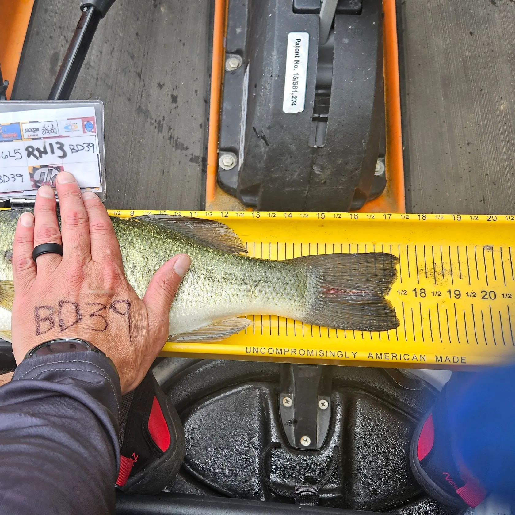 recently logged catches