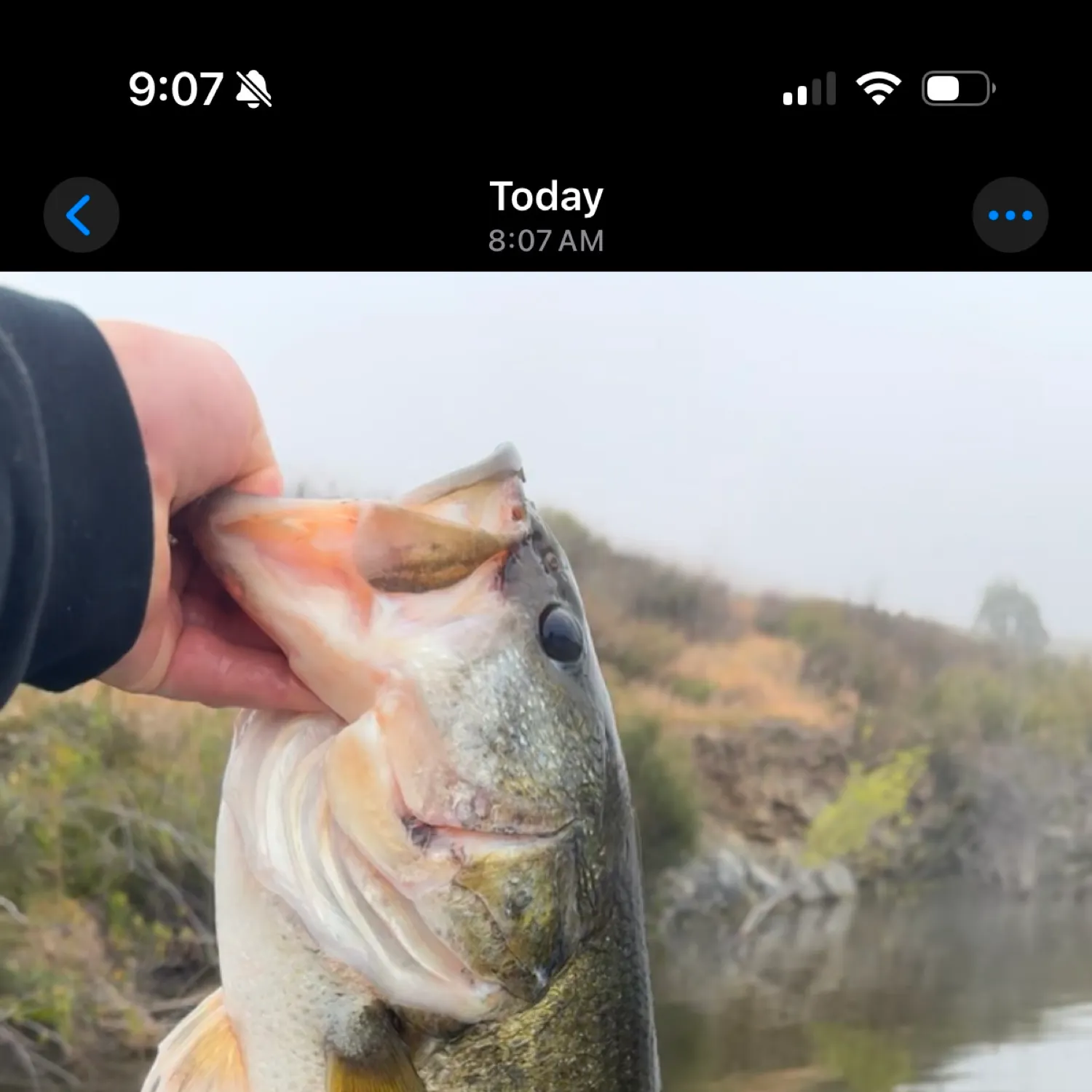 catch