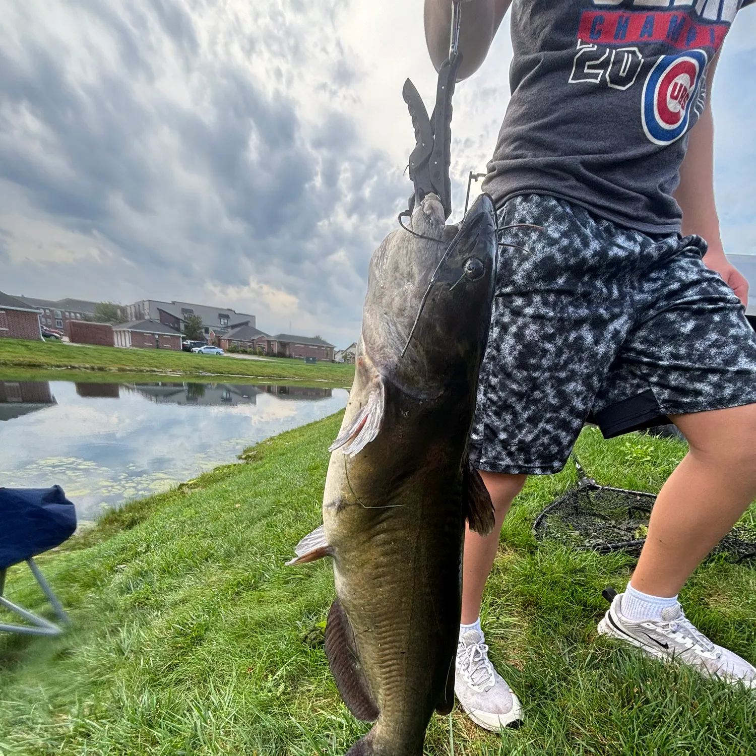 Channel catfish caught on Fishbrain