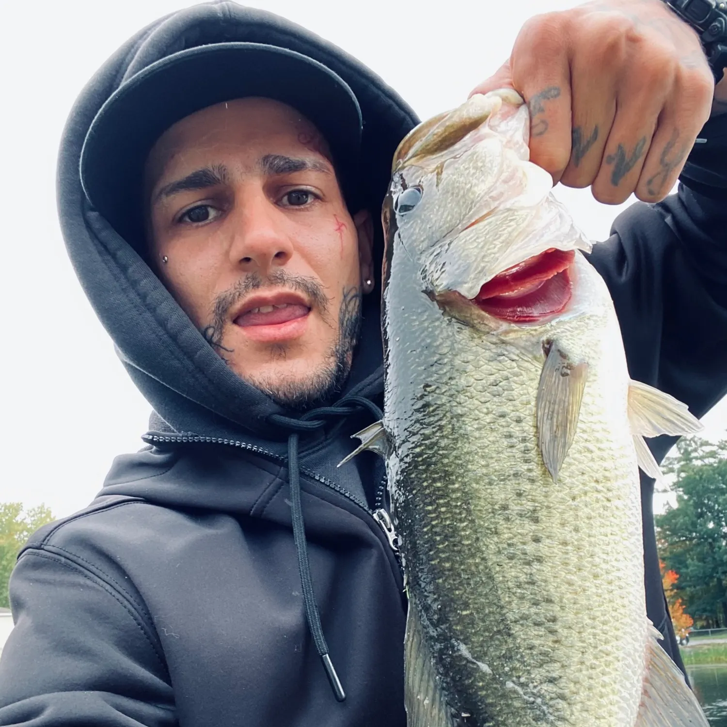 Largemouth bass caught on Fishbrain