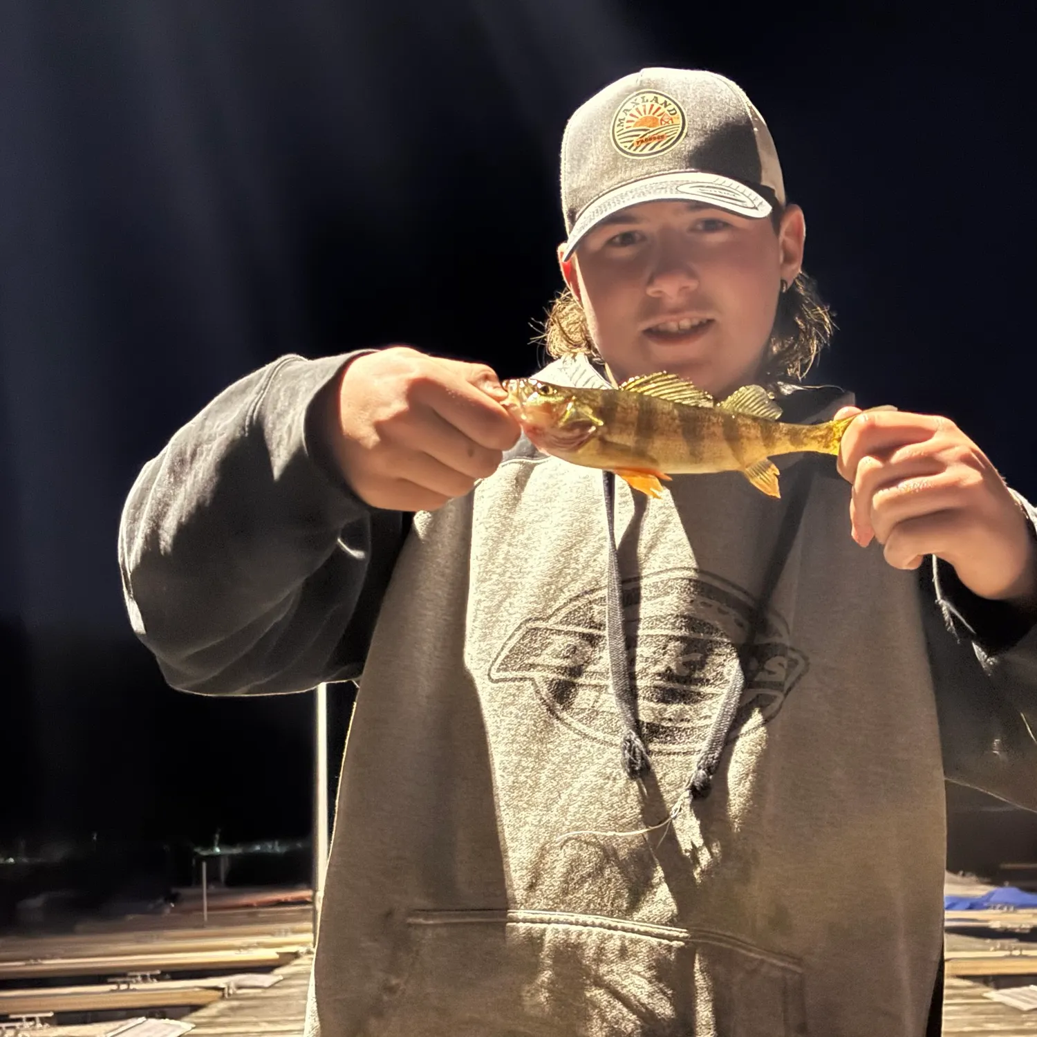 Yellow perch caught on Fishbrain