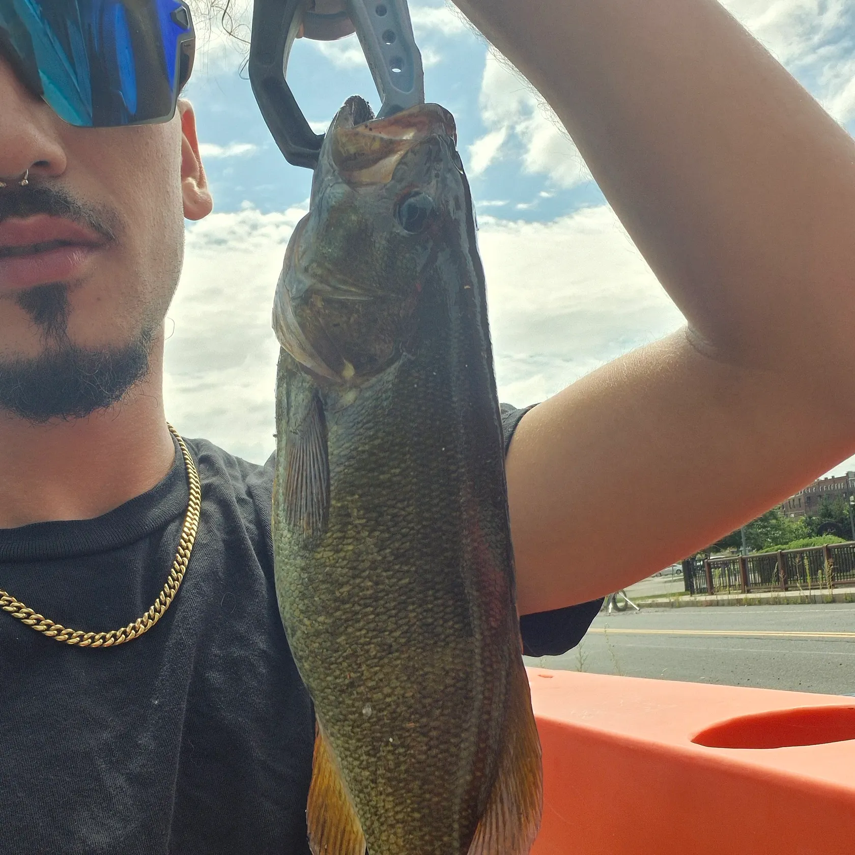 Smallmouth bass caught on Fishbrain