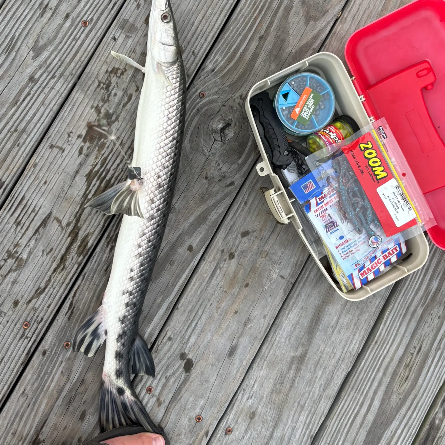 recently logged catches