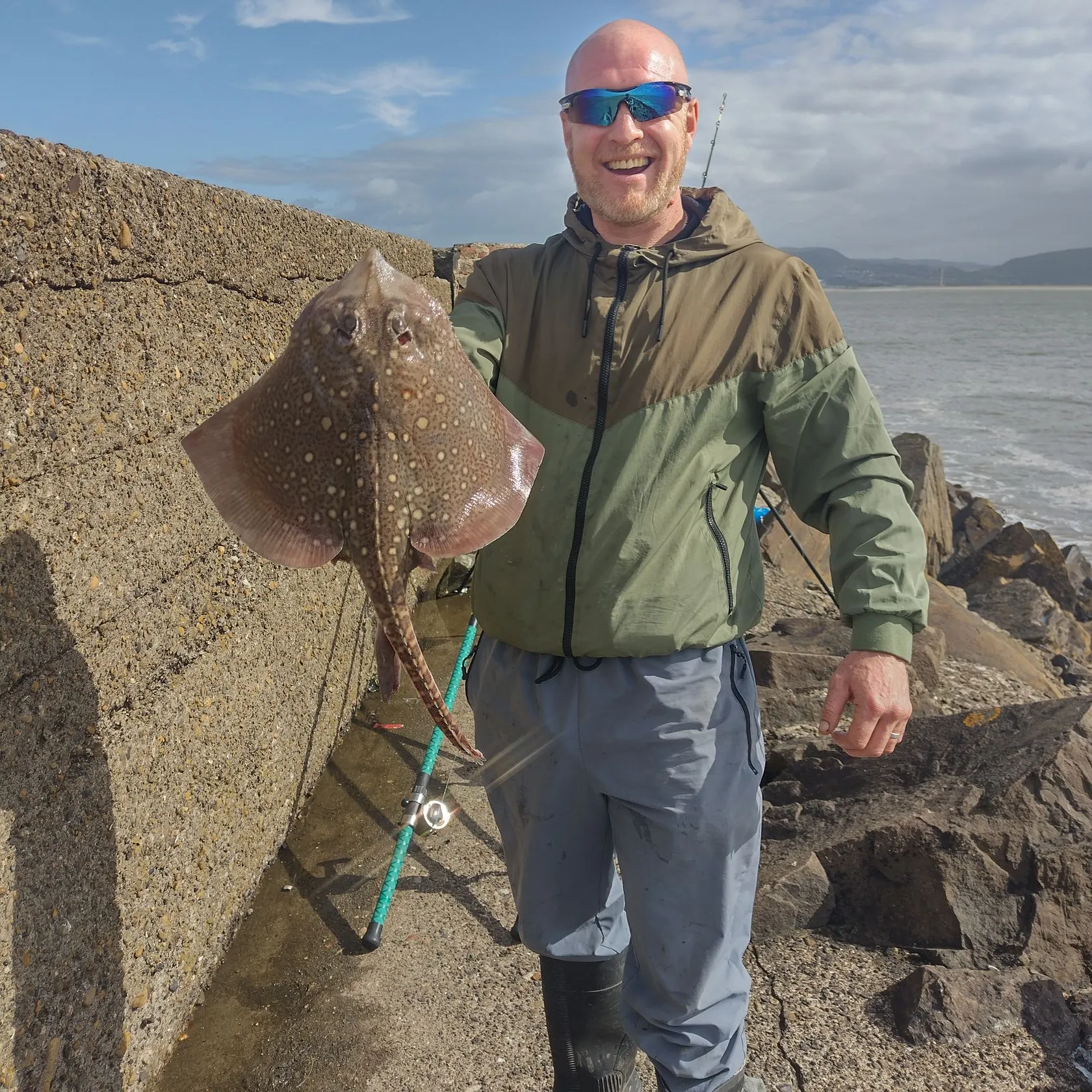 The most recent Thornback ray catches on Fishbrain