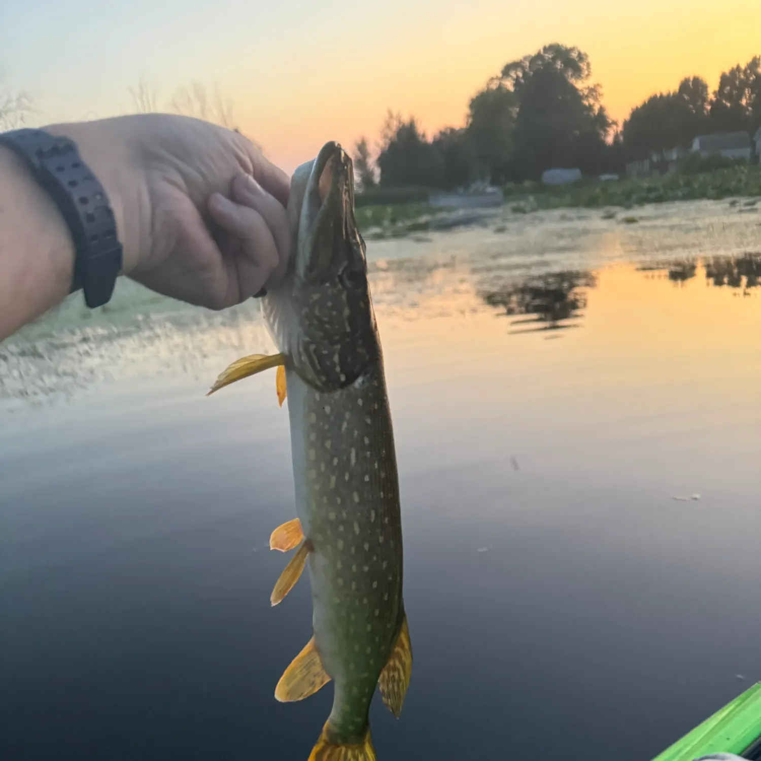 catch