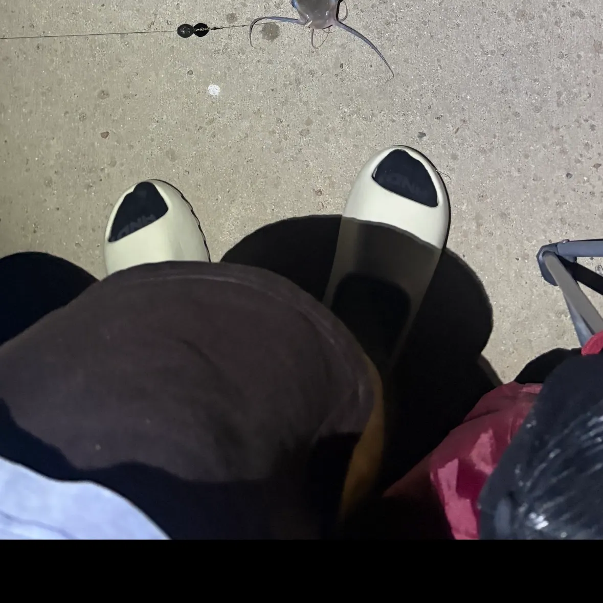 Channel catfish caught on Fishbrain