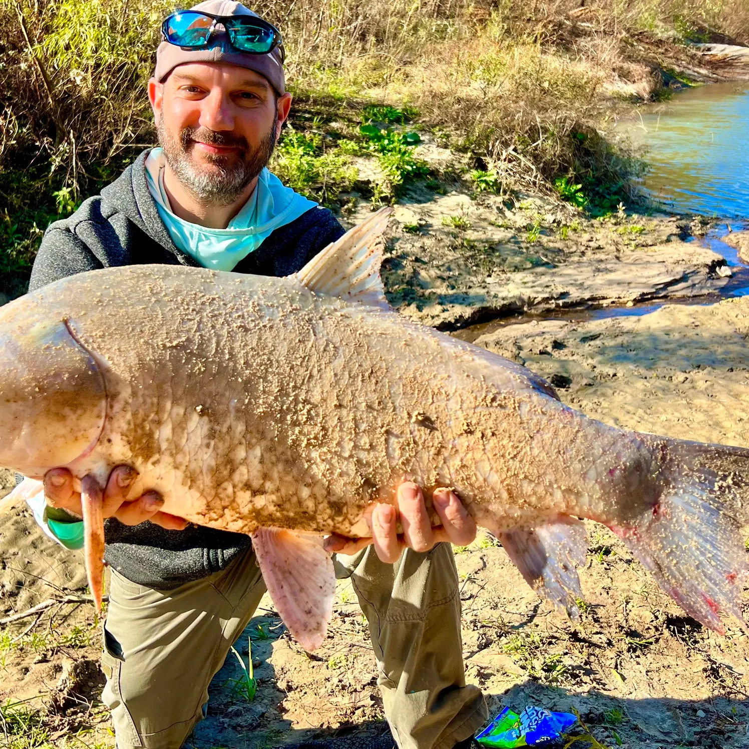 The most recent Smallmouth buffalo catches on Fishbrain