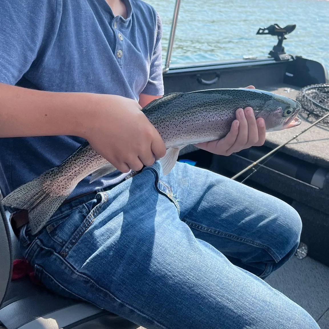 The most recent Rainbow trout catches on Fishbrain