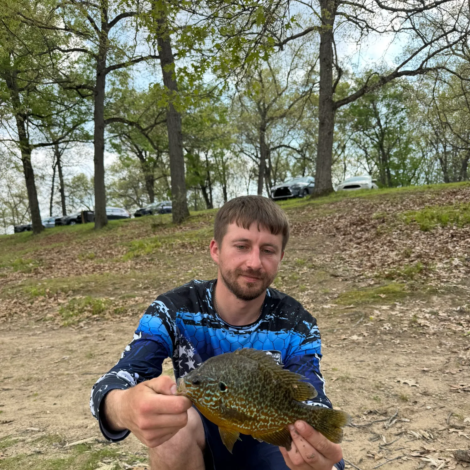 The most recent Pumpkinseed catches on Fishbrain