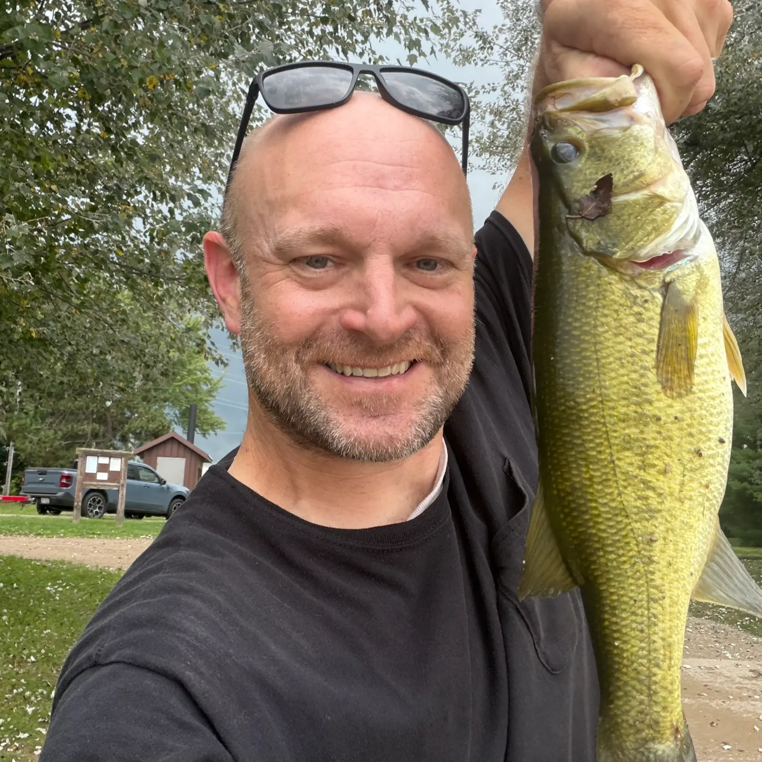 Largemouth bass caught on Fishbrain