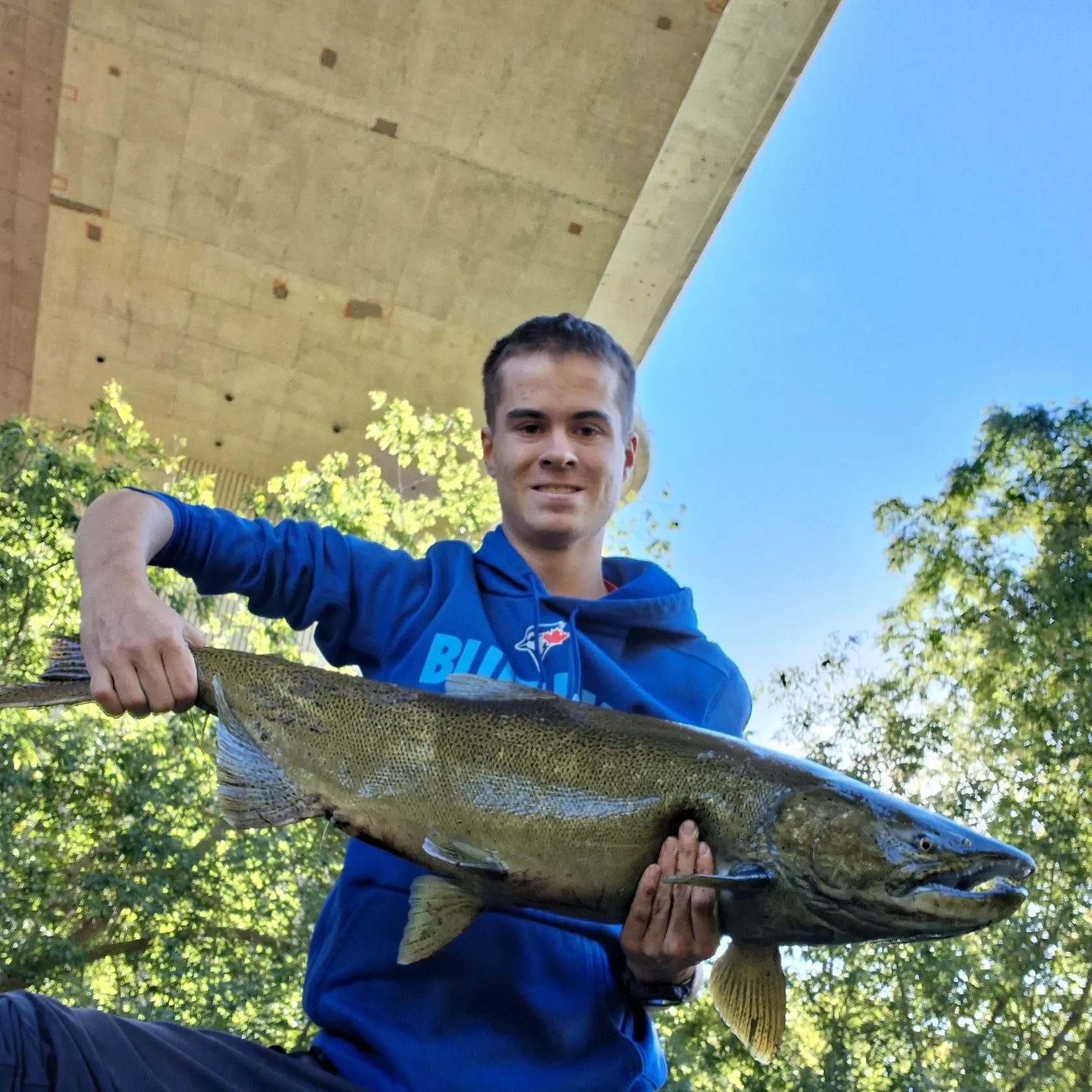 Chinook salmon caught on Fishbrain