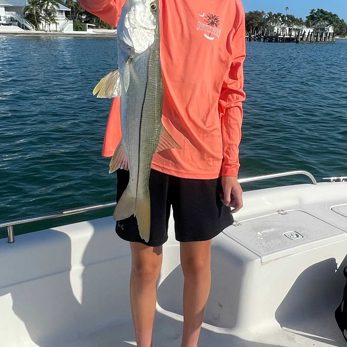 Common snook caught on Fishbrain