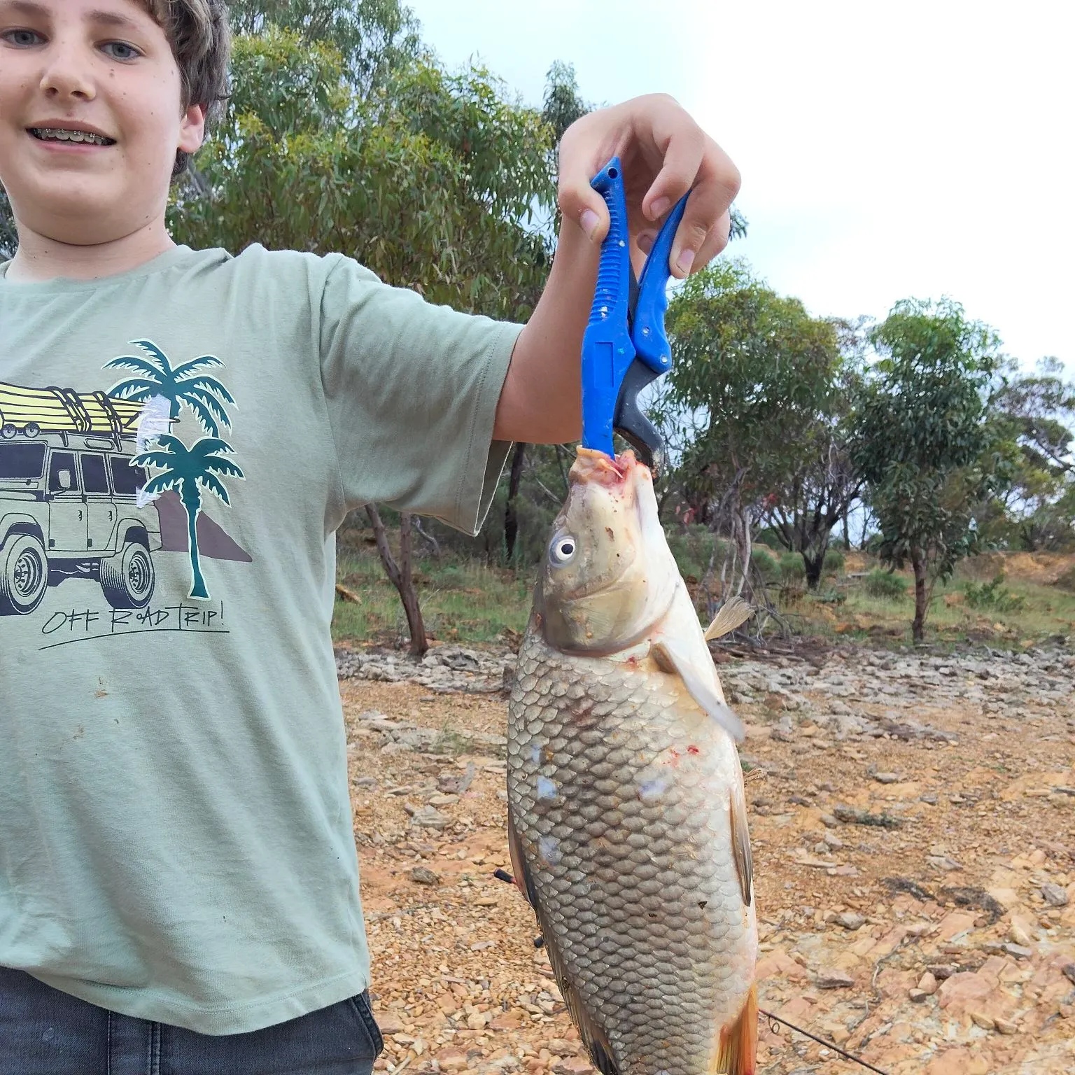 Common carp caught on Fishbrain