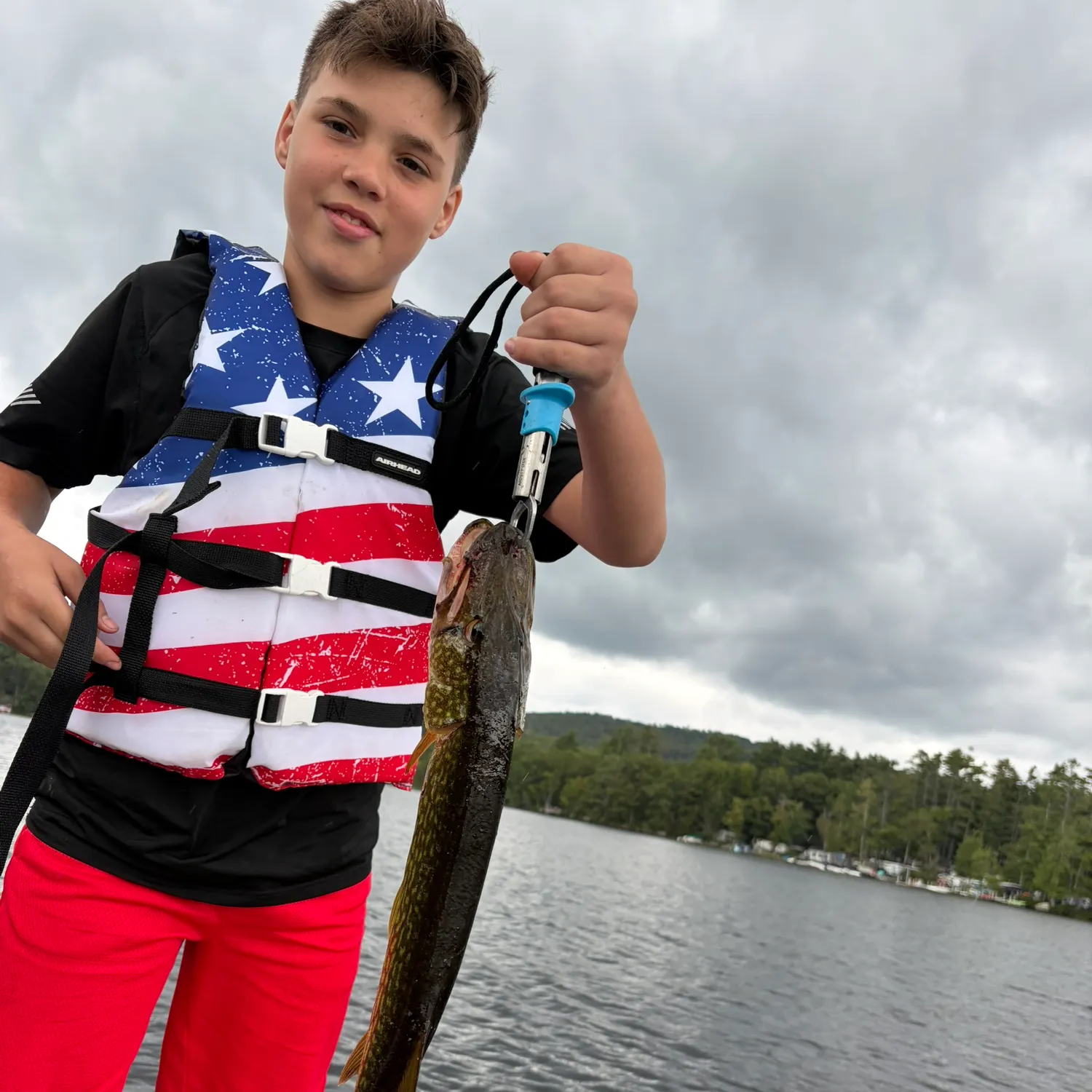 Chain pickerel caught on Fishbrain