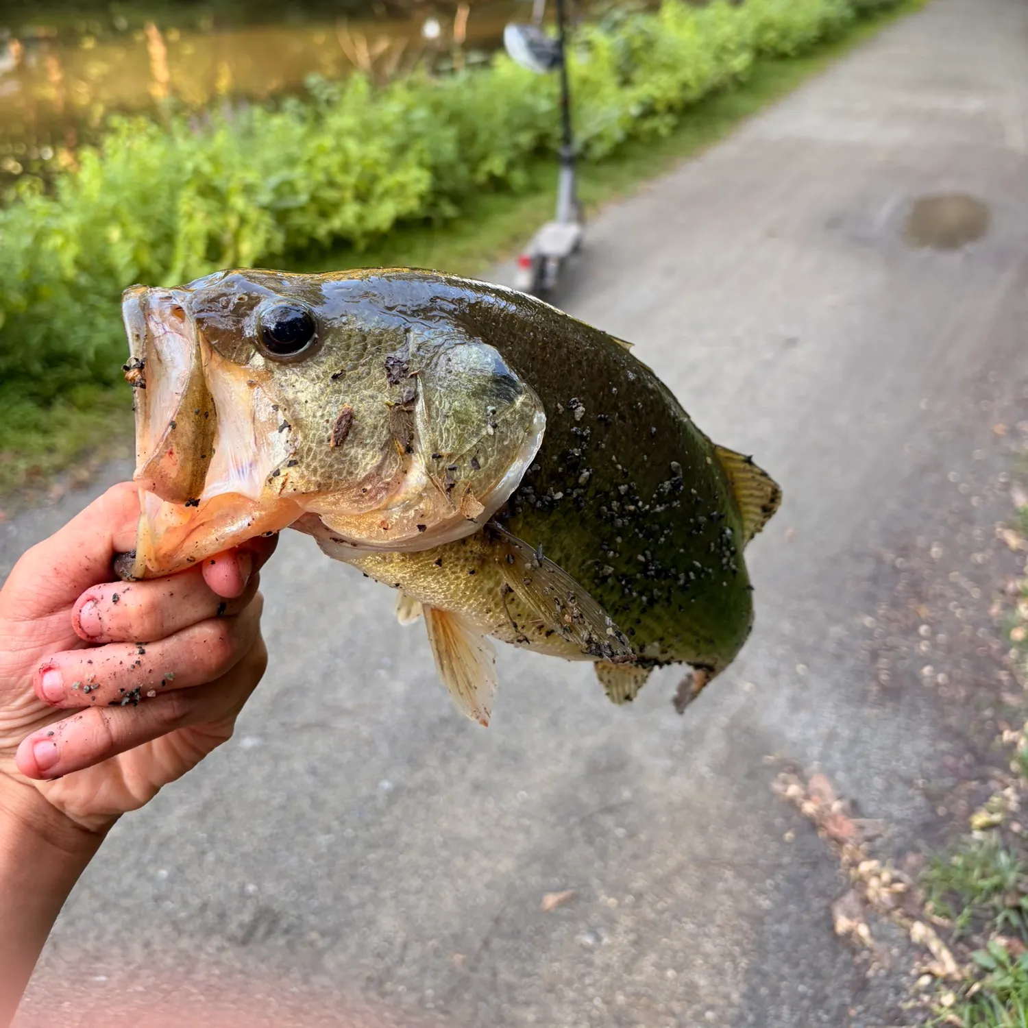 catch