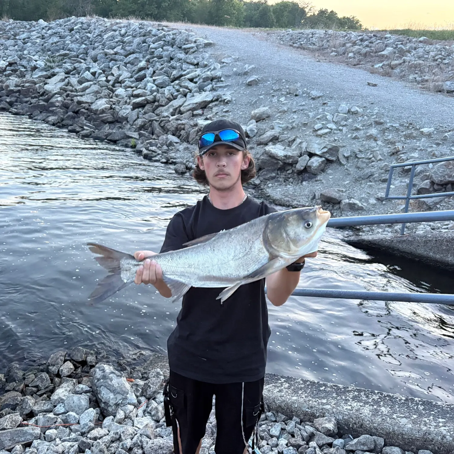 The most recent Silver carp catches on Fishbrain