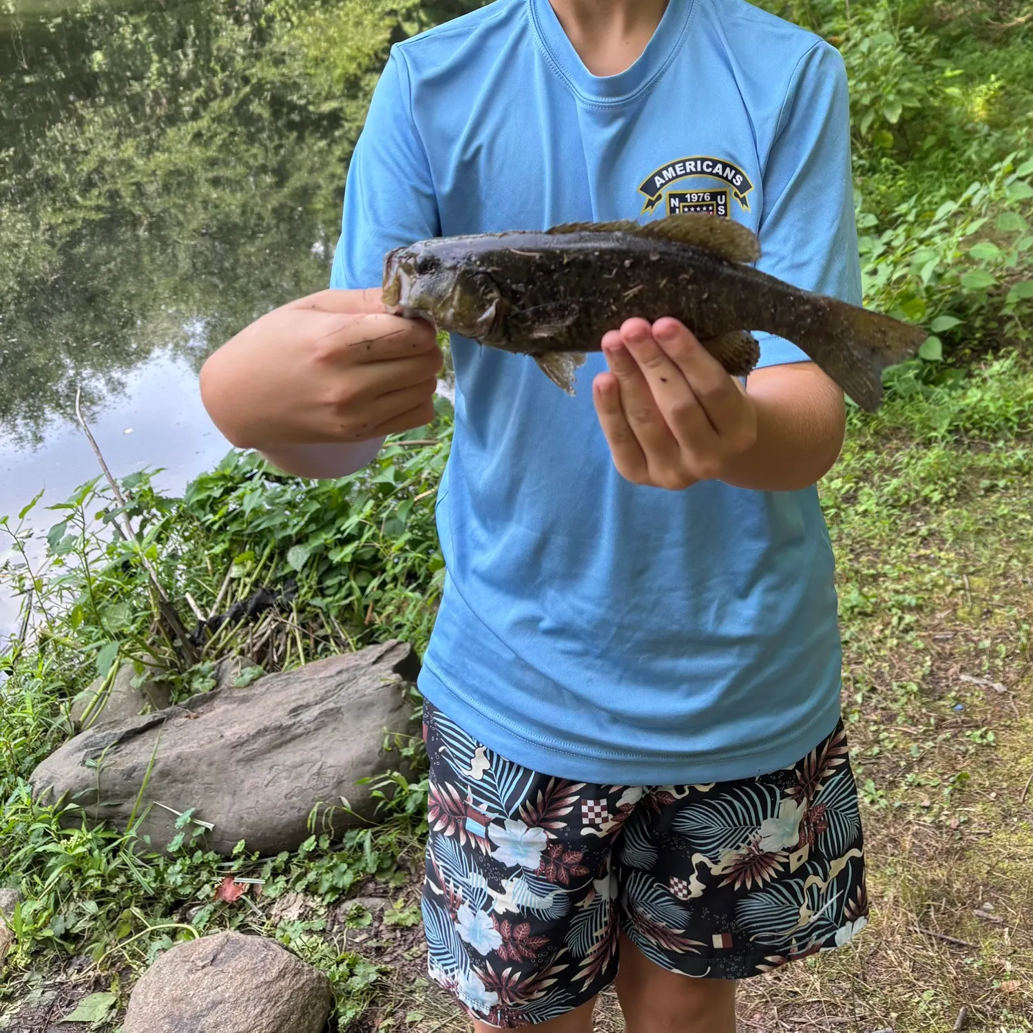 Smallmouth bass caught on Fishbrain