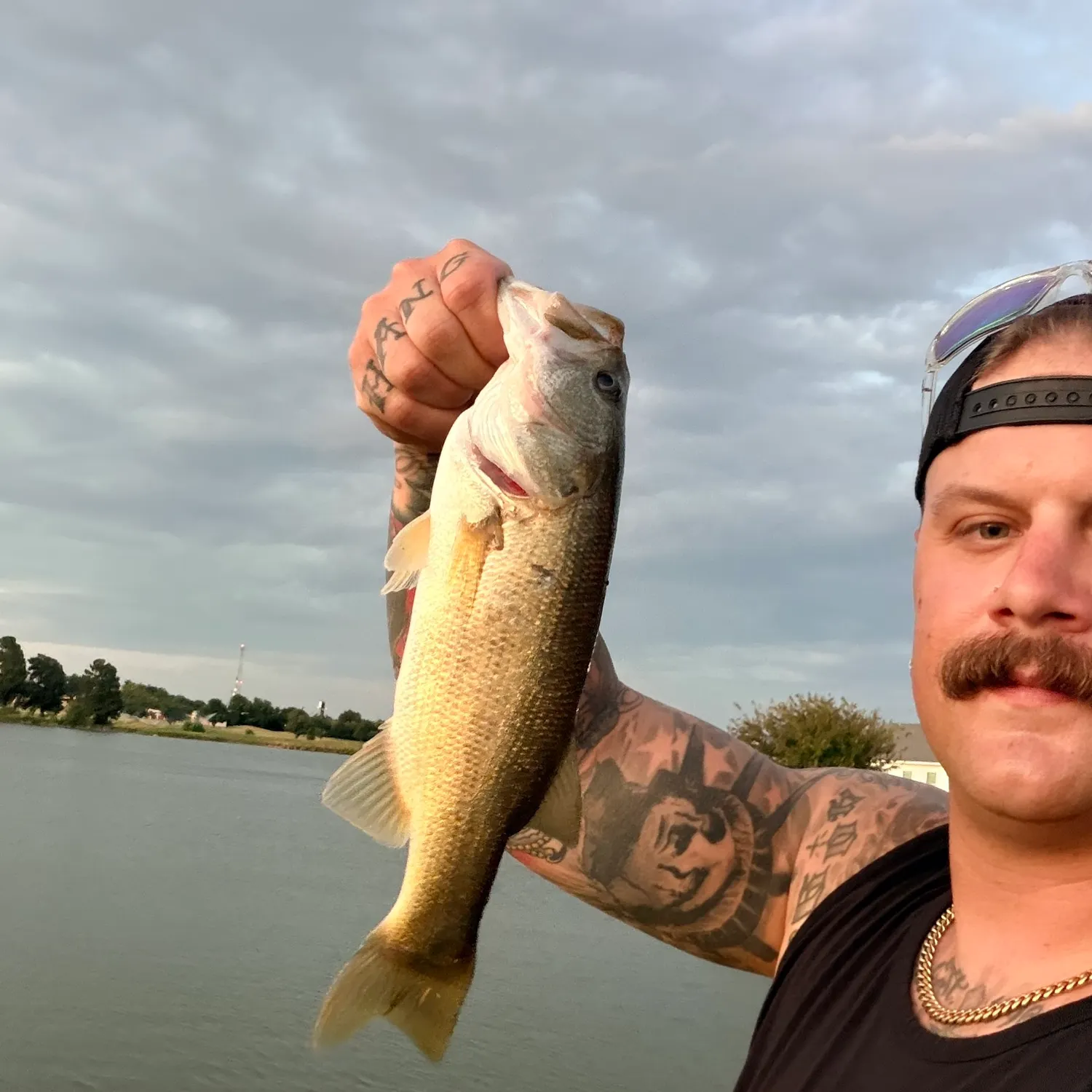 Largemouth bass caught on Fishbrain