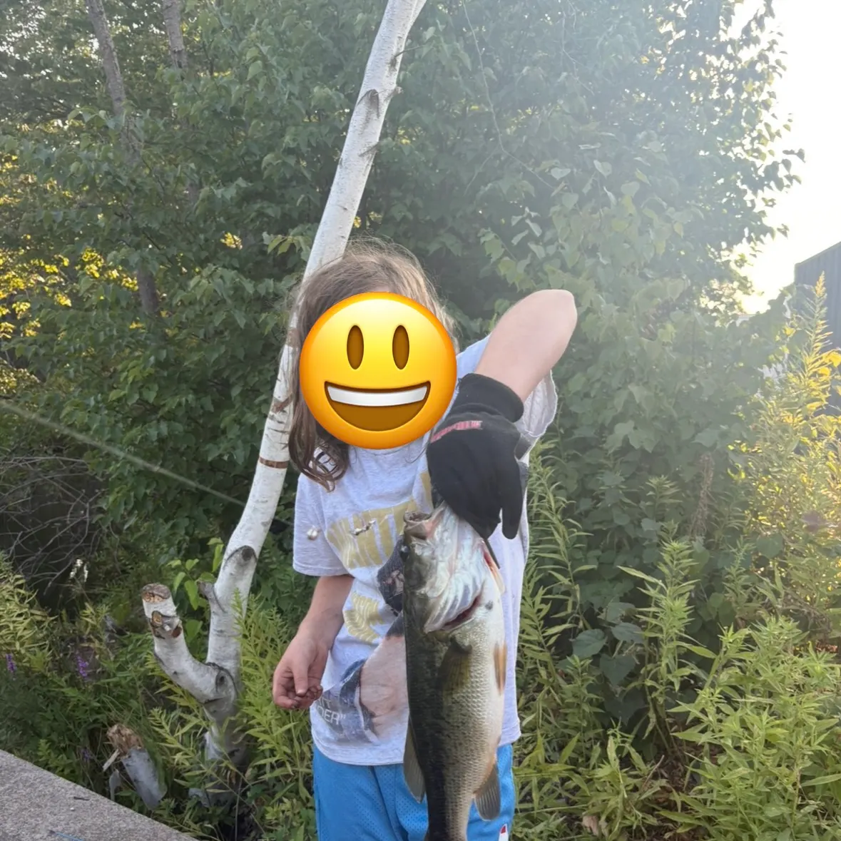 Smallmouth bass caught on Fishbrain
