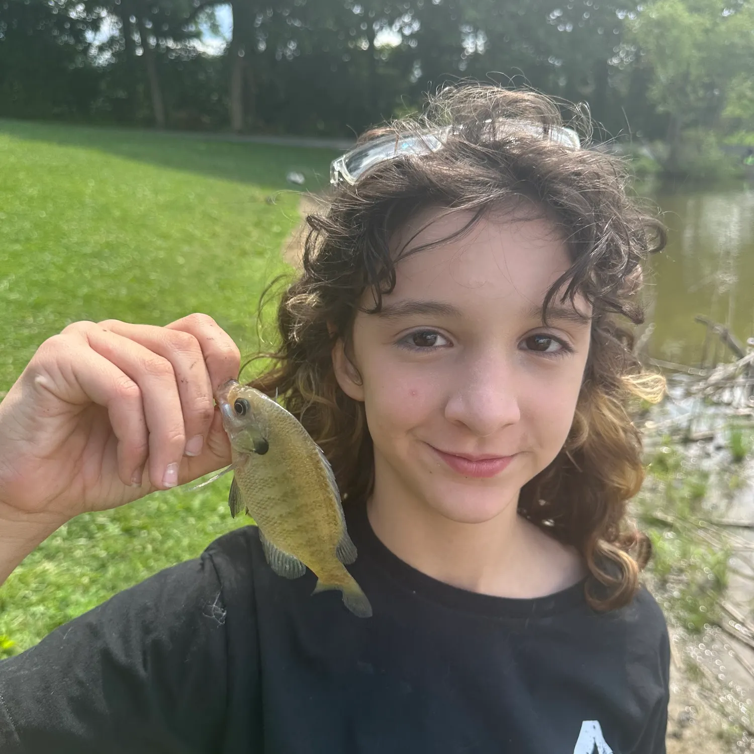 Bluegill caught on Fishbrain