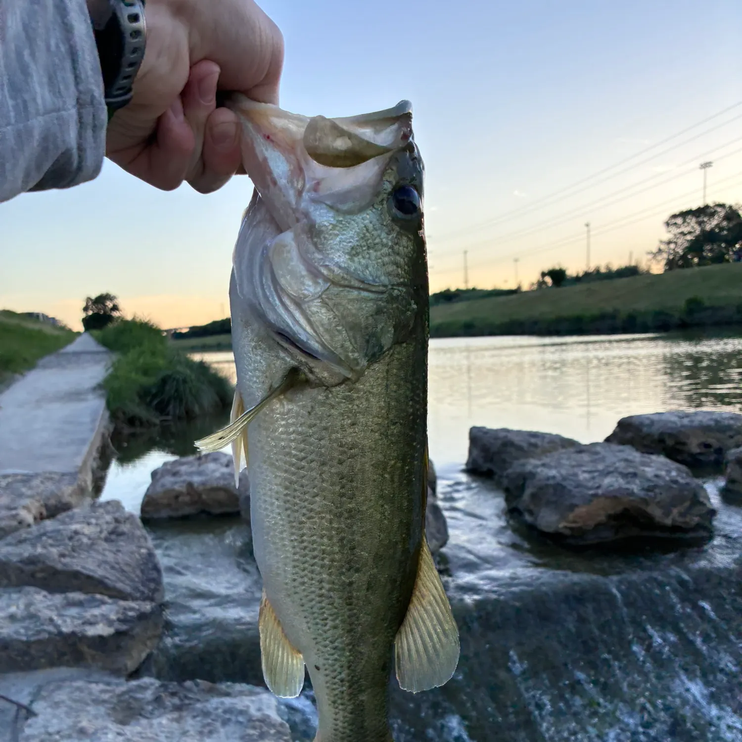 catch