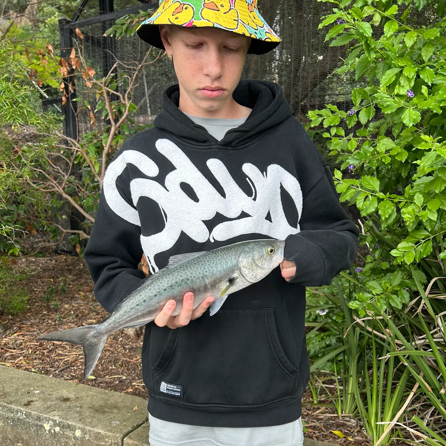 Eastern Australian salmon caught on Fishbrain