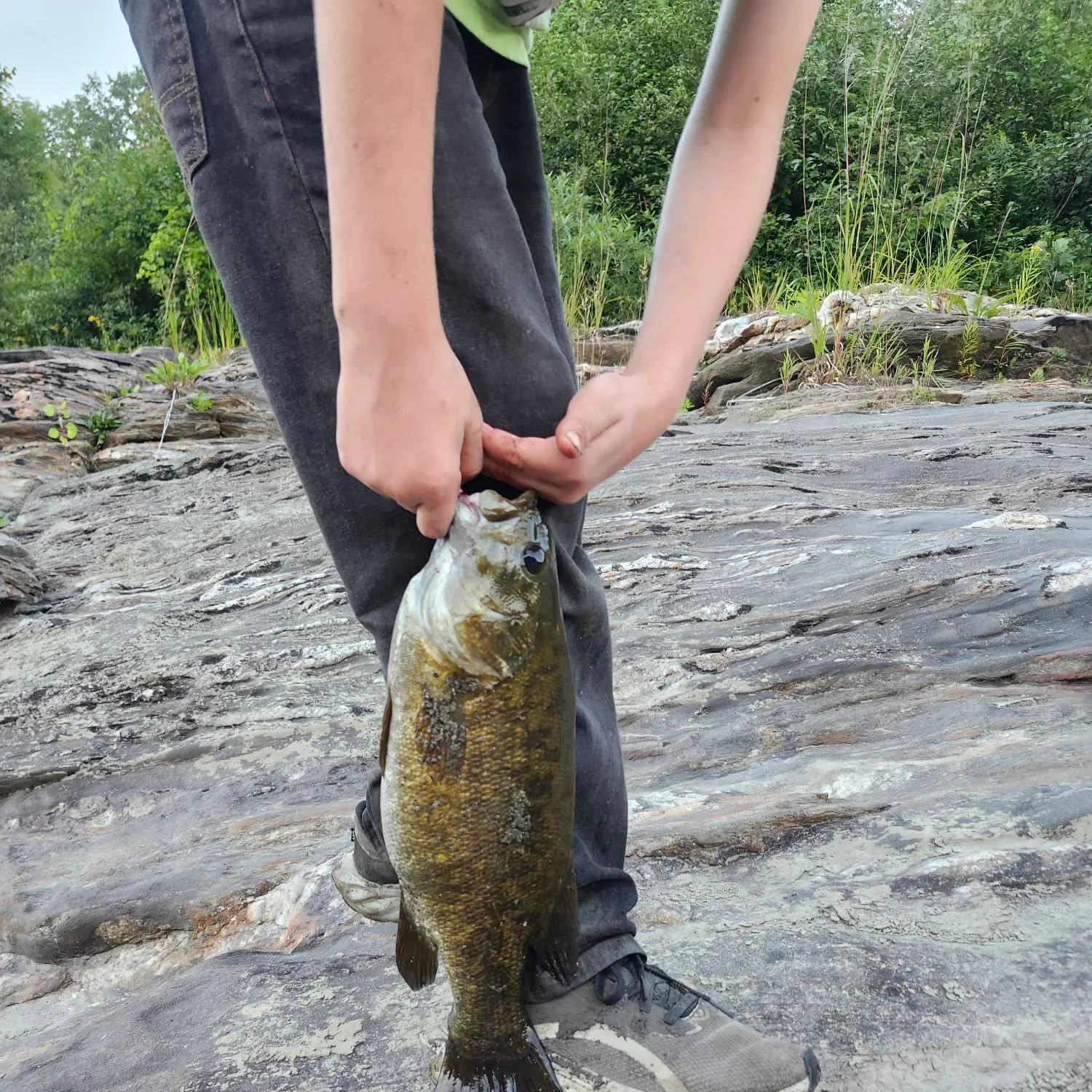 Smallmouth bass caught on Fishbrain