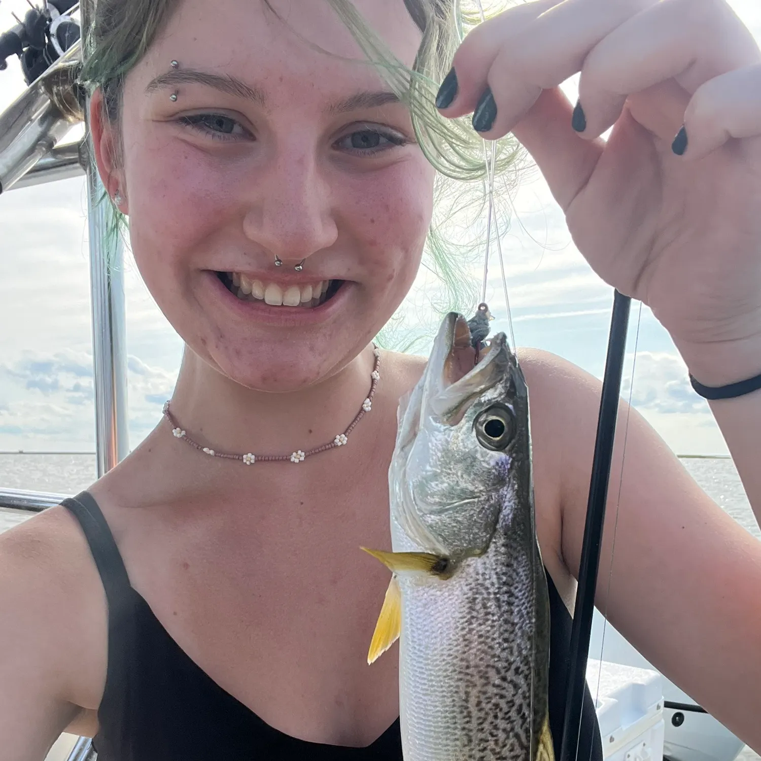 The most recent Silver seatrout catches on Fishbrain