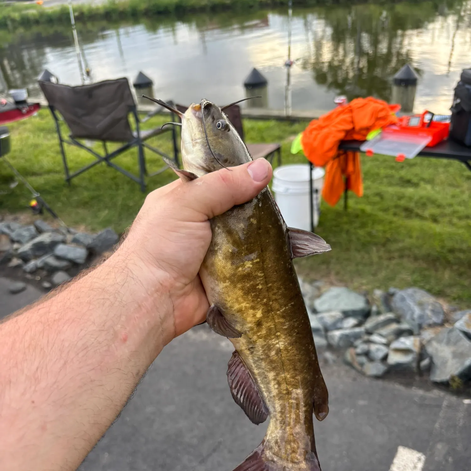 catch