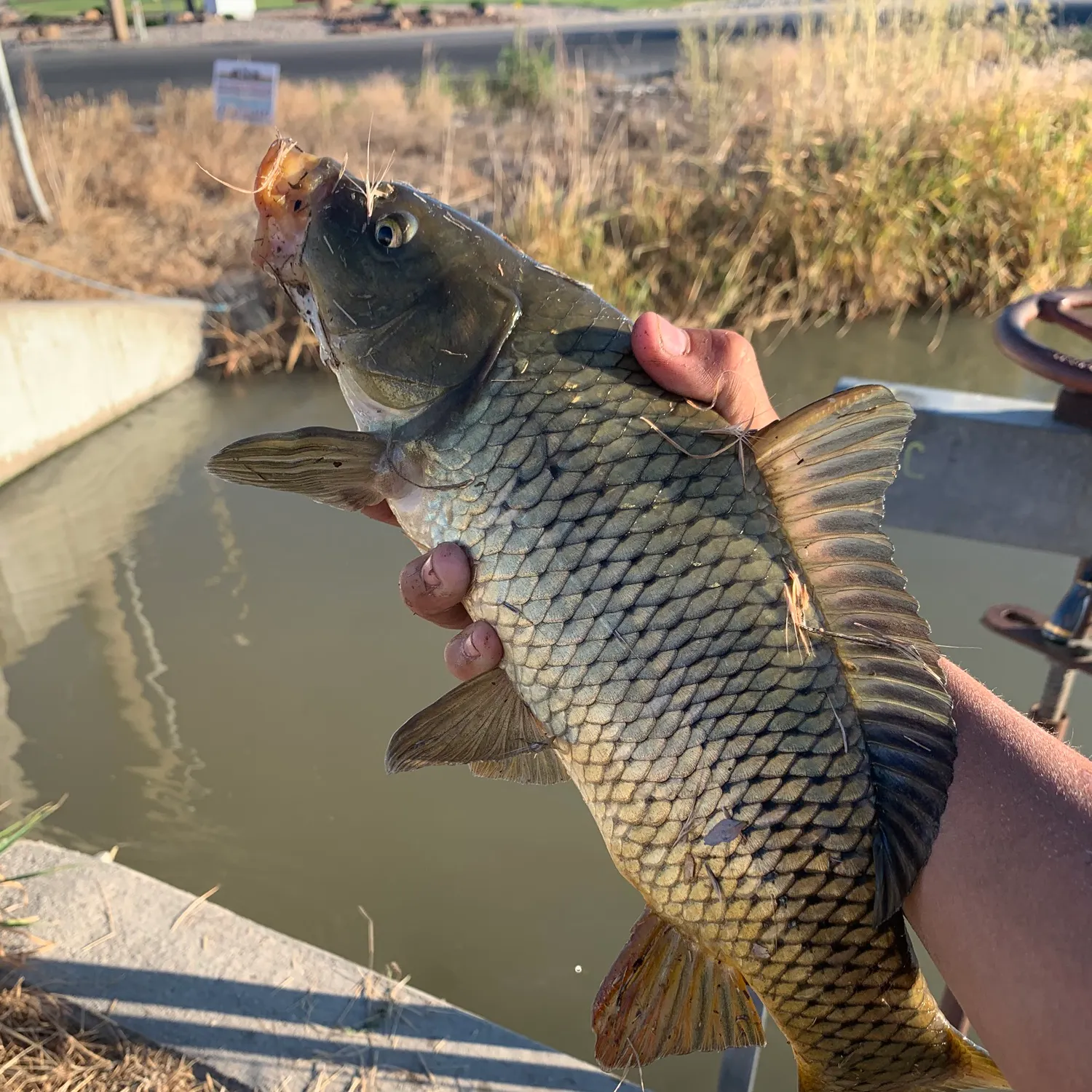 catch