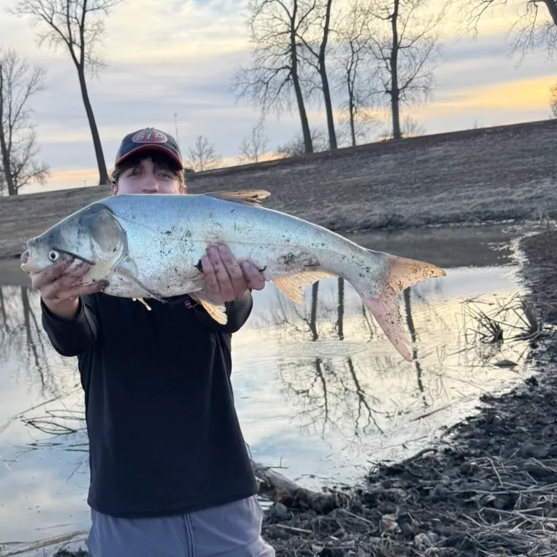 The most recent Silver carp catches on Fishbrain