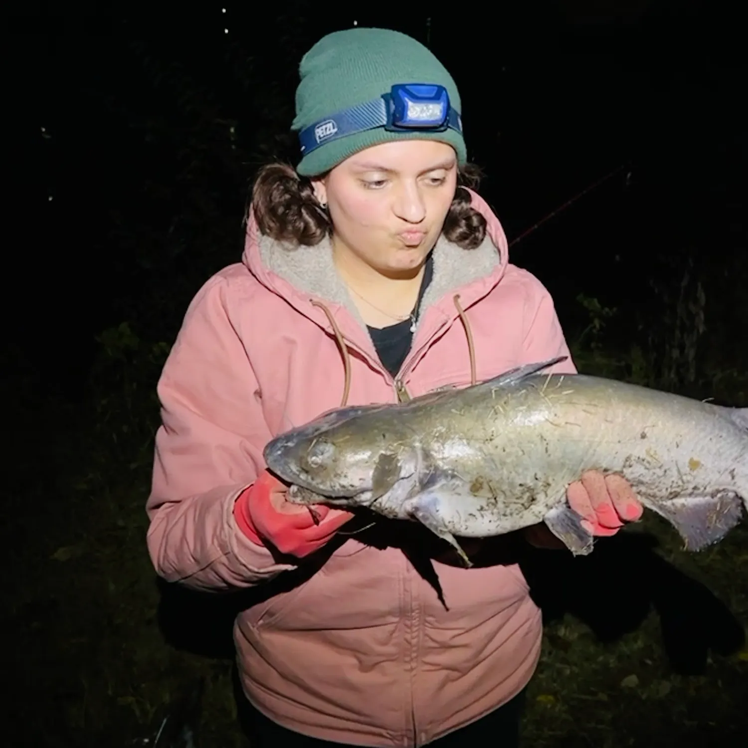 Channel catfish caught on Fishbrain