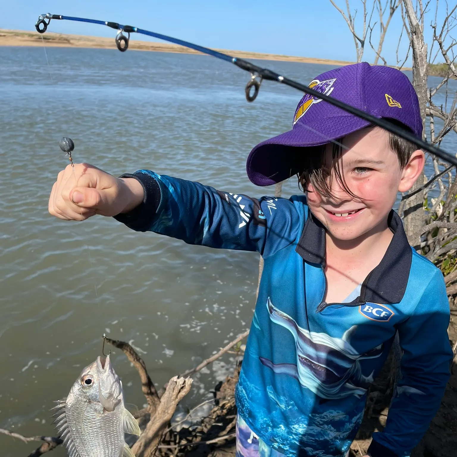 The most recent Pacific seabream catches on Fishbrain