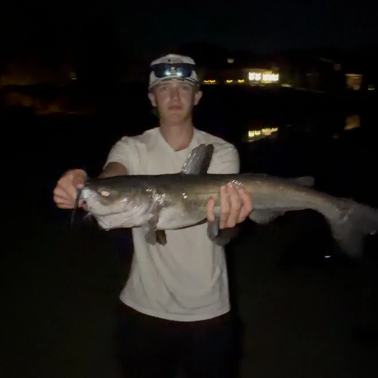 Channel catfish caught on Fishbrain